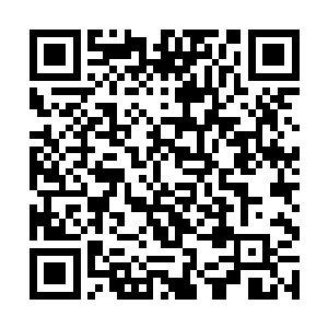 若没有龙庭的法旨也不可能拥有文星龙爵的真实力量二维码生成