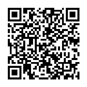 若生慌忙抬起另外一只手自行去将帐子掀开了一角二维码生成