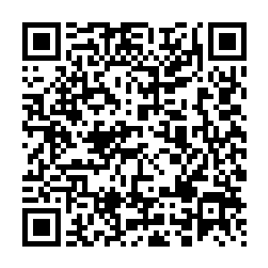 若真是这样……那就意味着一旦所有的三只妖猴都没嫌疑的情况下二维码生成