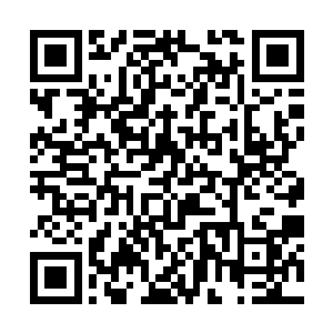若真有人拥有在这诡异的凝固空间中赶到此地的神通二维码生成