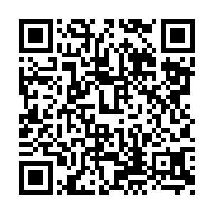 若真的是如此……或许在这五个魔族的身躯之上二维码生成