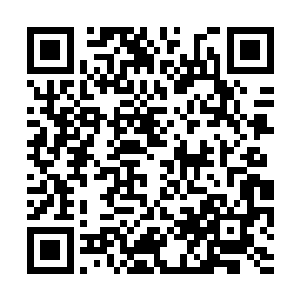 若精灵们没有在内战中消耗大量的国力和基层士兵二维码生成