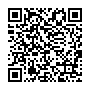 若说之前大蜘蛛紧贴地面罗楼没有机会到达这个攻击的死角处二维码生成