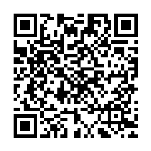 若说星风和水菲菲两人的爱情长跑是惟美而让人静心观赏的话二维码生成