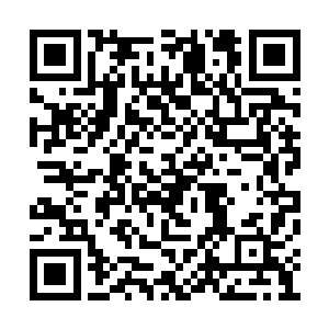 若说每年做针线给朱太爷当生辰礼有些故做姿态二维码生成