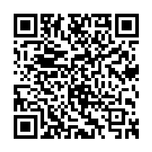 若这一掌拍下去只怕风清扬瞬间就会被拍成肉泥二维码生成