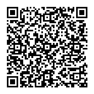 若非亲眼所见谁又能想到这些只有五六阶水准的妖兽居然能吞噬掉连帝尊境都无法抵挡的毒障二维码生成