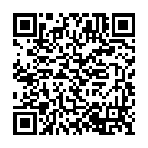 若非焚天神体能更进一步进化到不朽层次就好了二维码生成