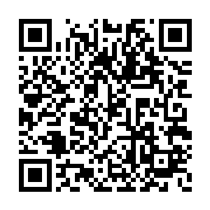 若非看在墨邢风的女儿同样是天元家族的情分上二维码生成