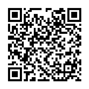 若非程家四长老本身的修为更是达到三劫真神高阶二维码生成