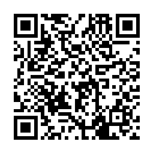 若非雷龙空山距离上古战场的出口只需要半天路程的话二维码生成
