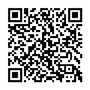 苦笔翁那件紫竹笔在其中一面旗子魔风催动之下二维码生成