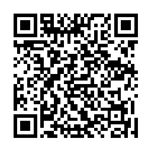 英俊男子被柳逸尘一个大背摔狠狠的砸在了大理石地面上二维码生成