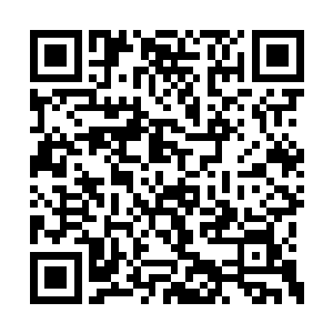 英王以前在后宫最大的依仗便是自己的这位母妃二维码生成