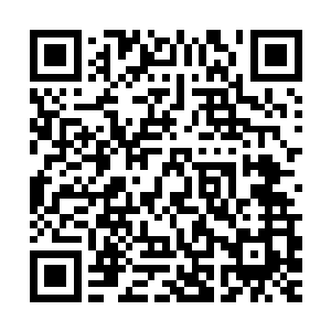 苳凰郡主的身上披着那件她为了赵纯良而特地缝制的棕熊皮披风二维码生成
