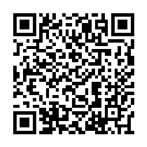 茂密的丛林硬生生的被萧晨用蛮力开出一条路来二维码生成