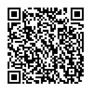 范晋的复仇之旅也是正式开始了……不像秦方那样小心翼翼的算计二维码生成
