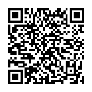 茱蒂连忙从外间拿进了一条造型别致的重蕾丝绉绸连衣裙二维码生成