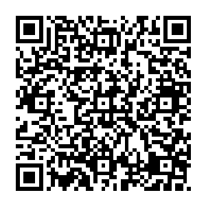 茶杯里那氤氲的特殊香味和茶杯里那碧如琉璃的液体让张铁有一种似曾相识的感觉二维码生成