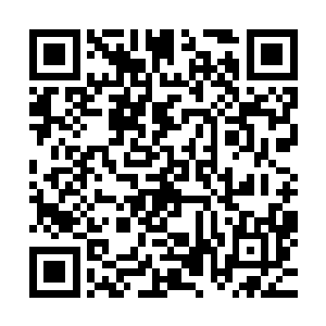 荆棘之间甚至还有一个个好似章鱼触手般的吸盘或者说进食孔二维码生成