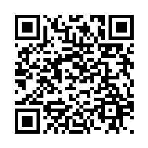 草丛里也没有虫子们跳动爬过的身影二维码生成