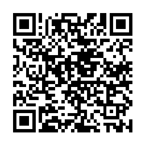 草样年华就是我们这一代年轻人普普通通的青葱岁月二维码生成