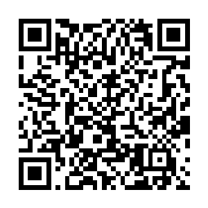 荒岛古木林遭遇偷袭事情我还不曾查明到底出自谁的手笔二维码生成