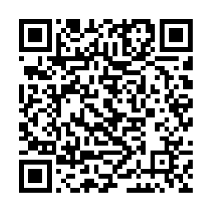 荒野之神的本尊就是远古时代蛮荒中的一片食人藤蔓二维码生成