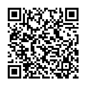 荣光都把所有诺丁汉森林球员的注意力吸引过去了二维码生成