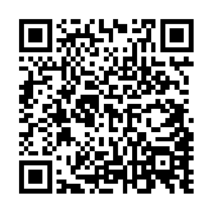 荣踢出的球竟然可以做到这样的下坠……就算他是蒙出来的二维码生成