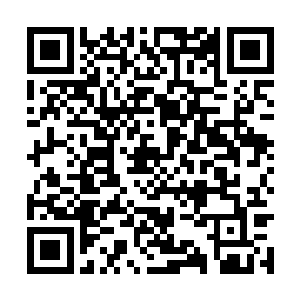 荣郡王府和安国公府的公子们被抓到五成兵马司去二维码生成