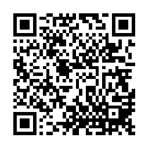 荣驰焦灼的视线一路跟着奔跑中的身影去到了出入境闸口前二维码生成