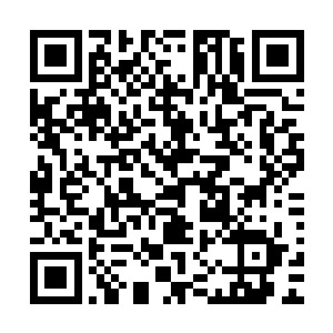 药王又喂服了一颗修复元神的通天境仙丹进入到许紫烟的口中二维码生成