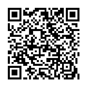 荷兰无法从大海中取得近乎国土三分之一的土地二维码生成