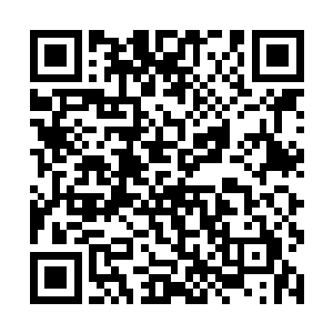 荷官那边也是显得无比淡然的目视了一下周围的赌客二维码生成