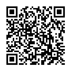 莫不愁脸色微变的看着吴岩面前那重新化成三尺大小的金盾二维码生成