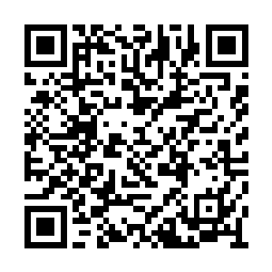 莫不是积分榜上那价值一千万积分的踢雪登云兽二维码生成