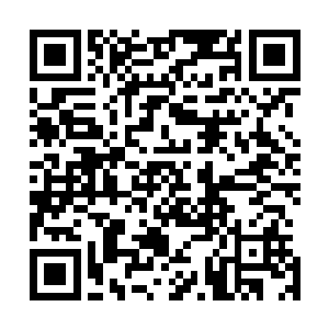 莫倩妮和一众监考的yu蕾国际工作人员都投来古怪的目光二维码生成
