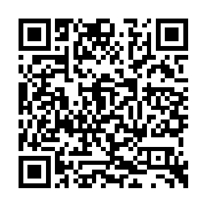 莫华酒店的人看到那新鲜翠绿的蘑菇都非常满意二维码生成