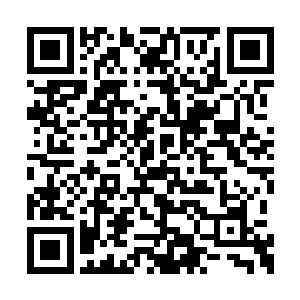 莫咏欣会带着莫咏星一起全国各地跑的原因所在二维码生成