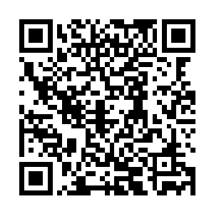 莫小鱼不明白蒋玉然的话里到底蕴含着什么惊人的信息二维码生成