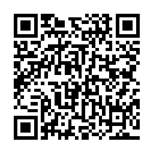 莫小鱼也利用闻玉山教给他的看风水的方法看了看梅文化的墓地二维码生成