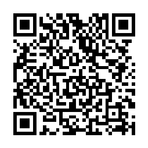 莫小鱼侵入的不是警方时时要用到的主干道监控系统二维码生成