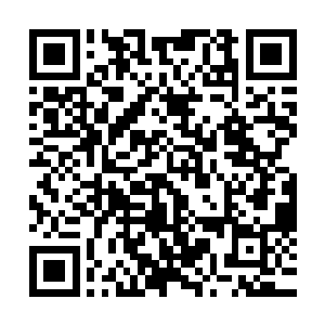 莫小鱼居然看到了梁红梅和李元日一起和池田之鹰会面的景象二维码生成