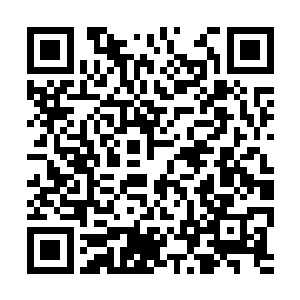 莫崎同样诧异不解的话让流墨墨确定了自己并没有二维码生成