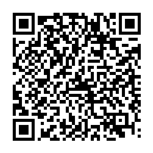 莫崎说着忍不住凝眸看向前方星系核中那七颗硕大而生机勃勃的巨型星辰二维码生成