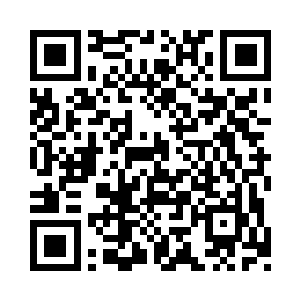 莫昕岚便是使劲浑身解数也要把父亲推上去二维码生成