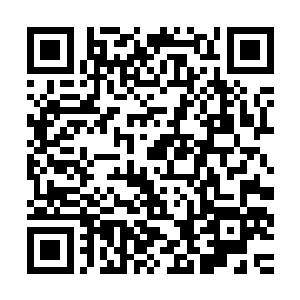 莫来福便坚持和他一起把我送回了家……如果不是莫来福的细心二维码生成