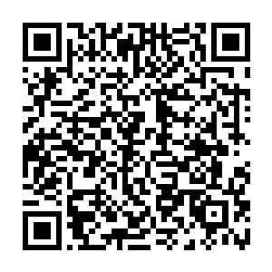 莫狮你们那些追踪偷盗者的长老有没有发现那些偷盗者究竟是人类还是妖族二维码生成