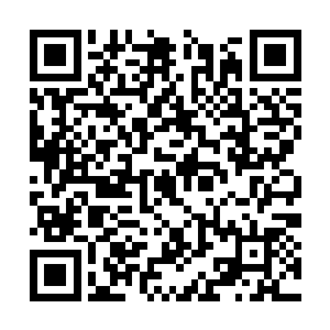 莫琦能分辨出那些初期妖帝应是都依附着八妖帝的二维码生成